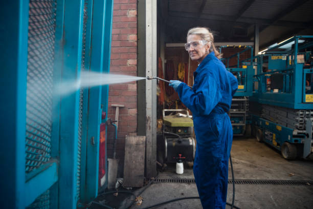 Best Pre-Holiday Cleaning  in Delano, MN