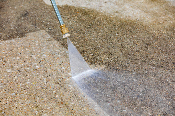 Best Driveway Pressure Washing  in Delano, MN