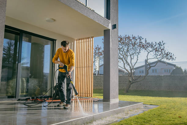 Best Roof Washing  in Delano, MN
